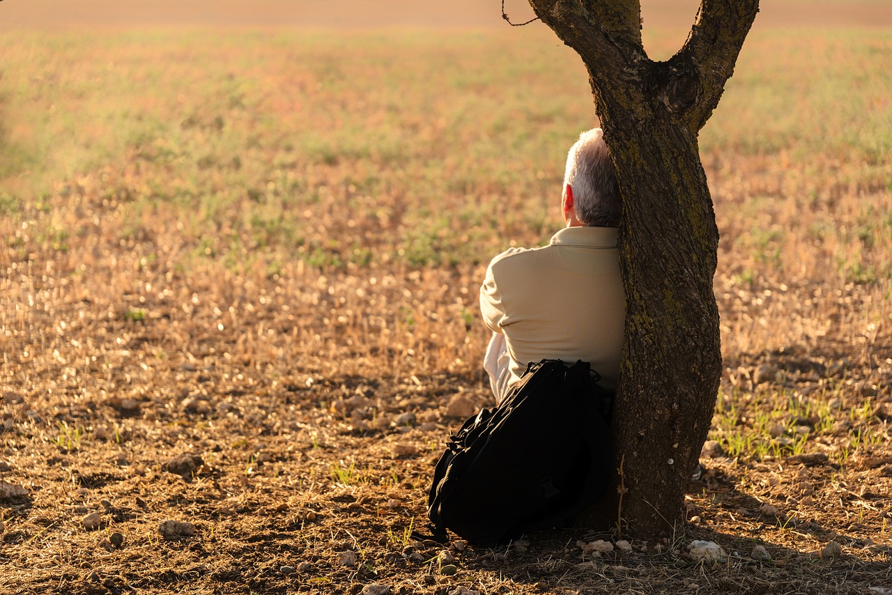 man, solitude, tree-1156543.jpg